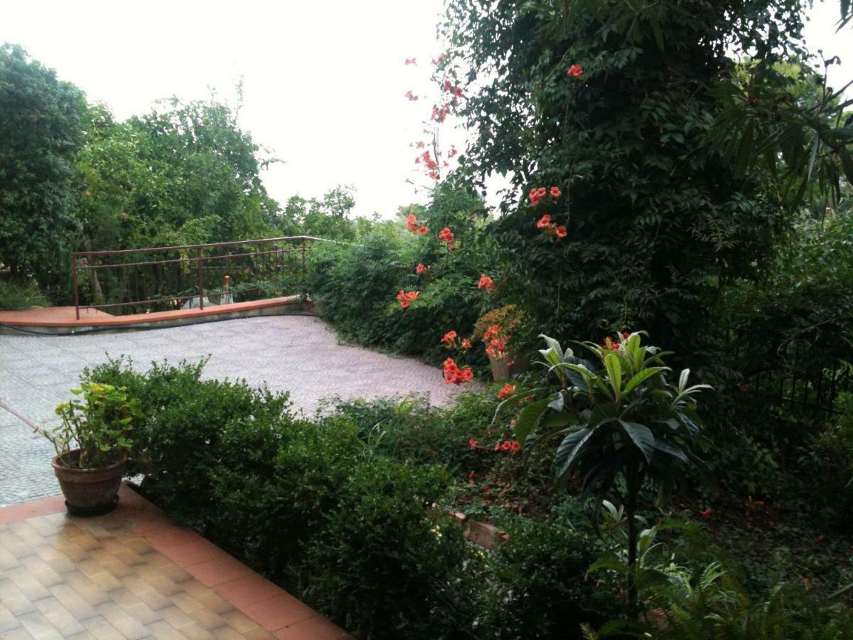 צ'פאלו Green Villa Sand Beach Center Close Sea Veiw מראה חיצוני תמונה