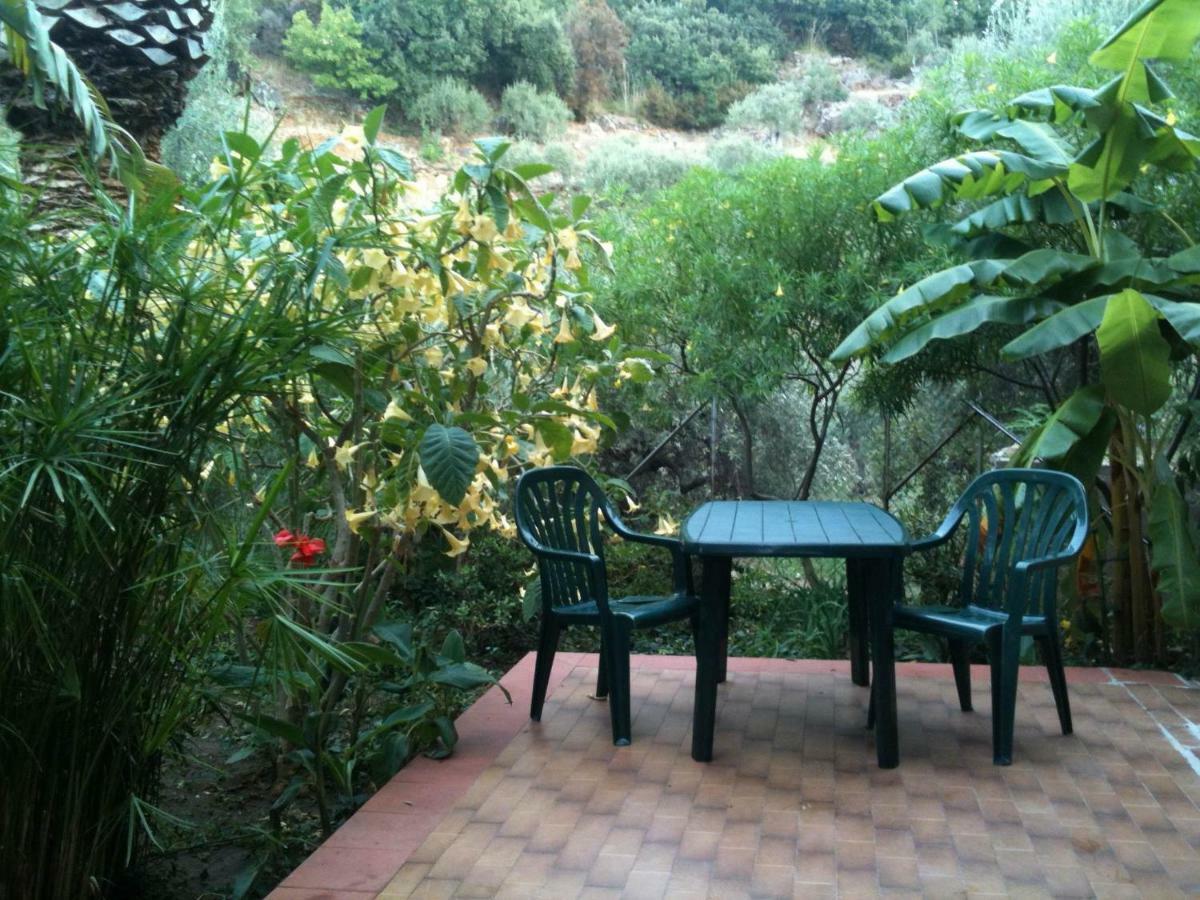 צ'פאלו Green Villa Sand Beach Center Close Sea Veiw מראה חיצוני תמונה